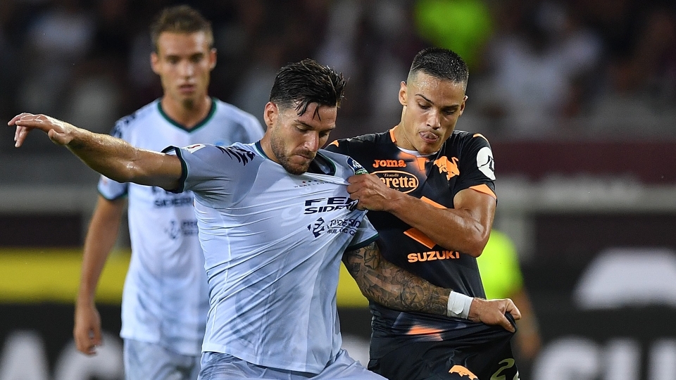 Torino-Feralpi