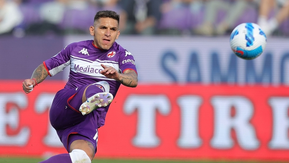 Torreira