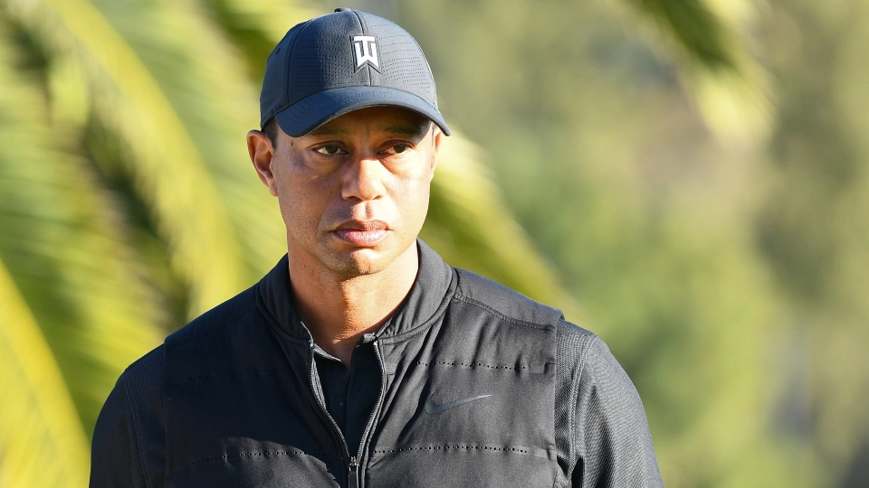 tiger woods