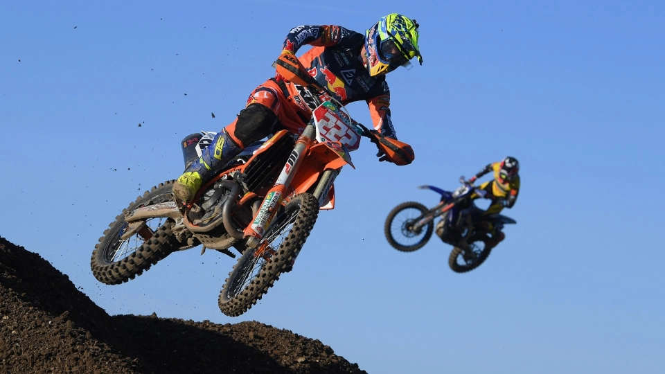 tony cairoli