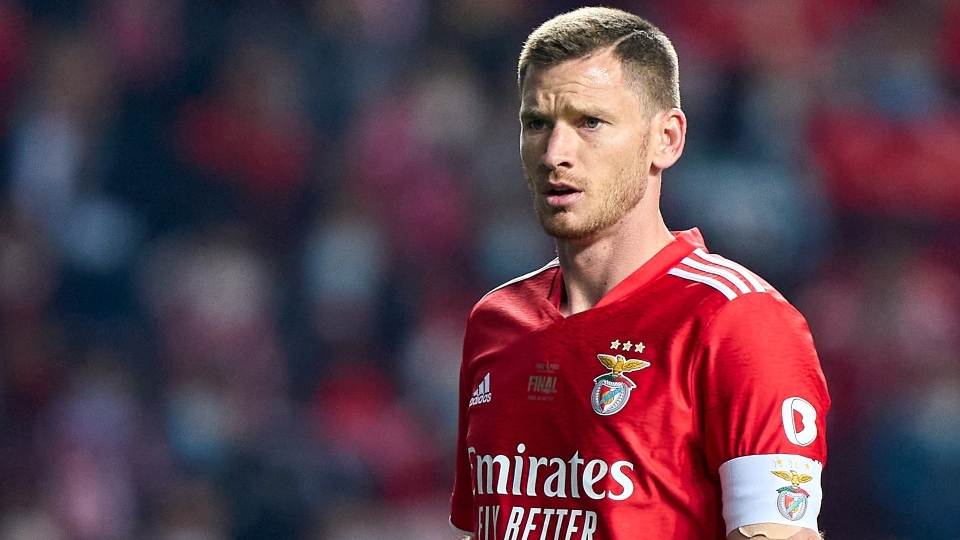 vertonghen