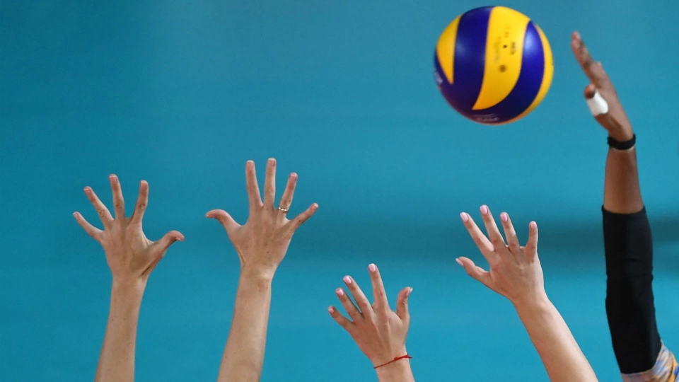 Volley