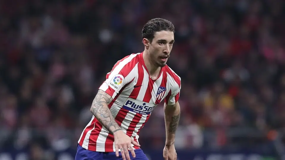 vrsaljko