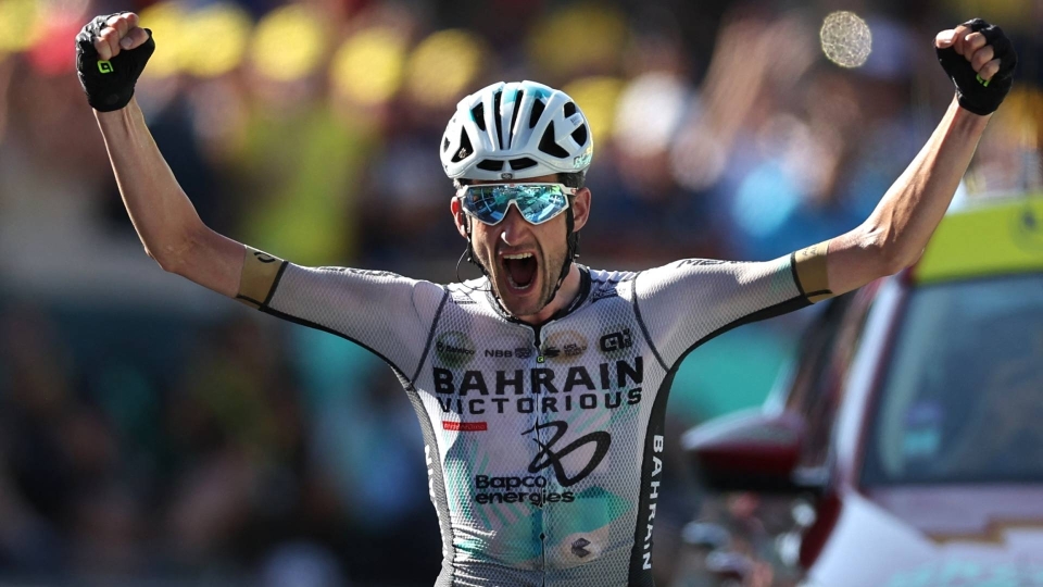 Wout Poels