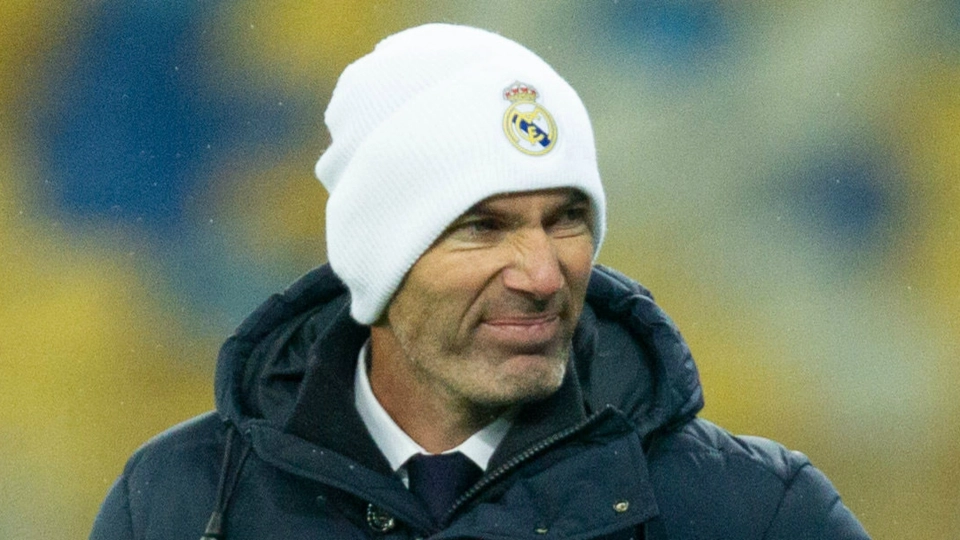Zinedine Zidane - cropped