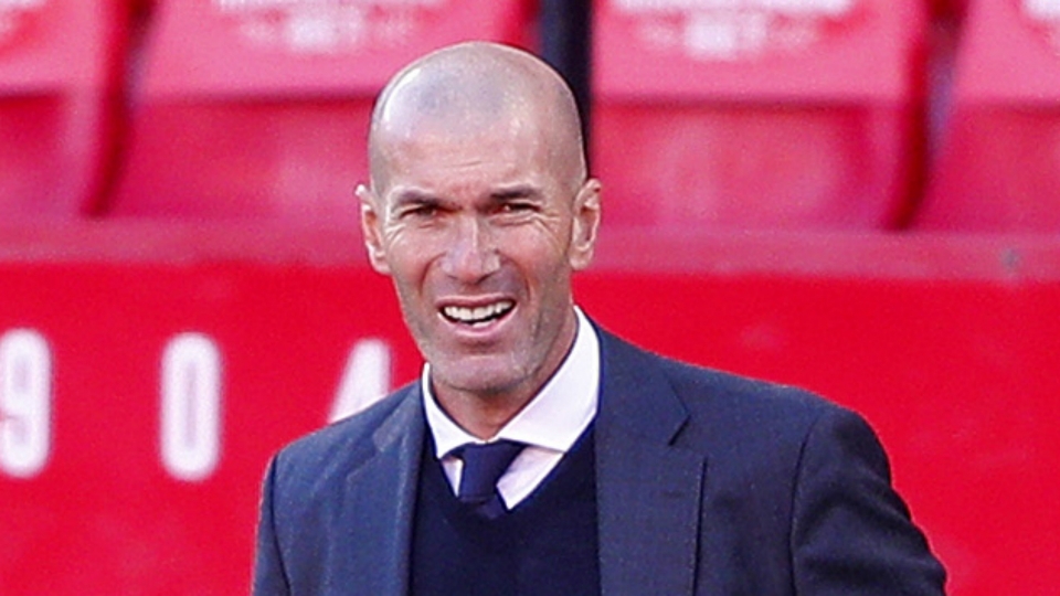 Zinedine Zidane - cropped