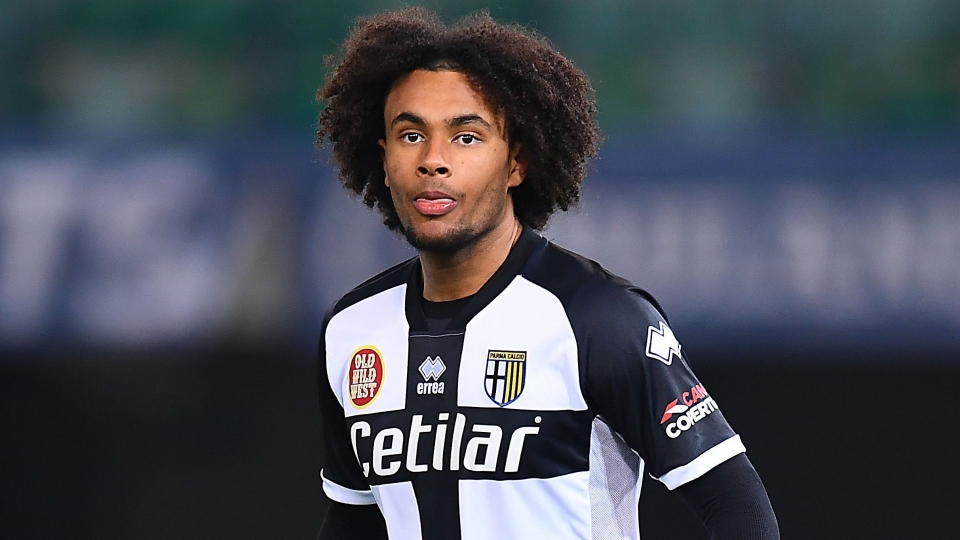 Zirkzee Parma